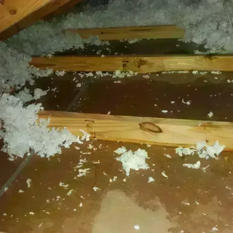 Attic Water Damage in Antelope County, NE